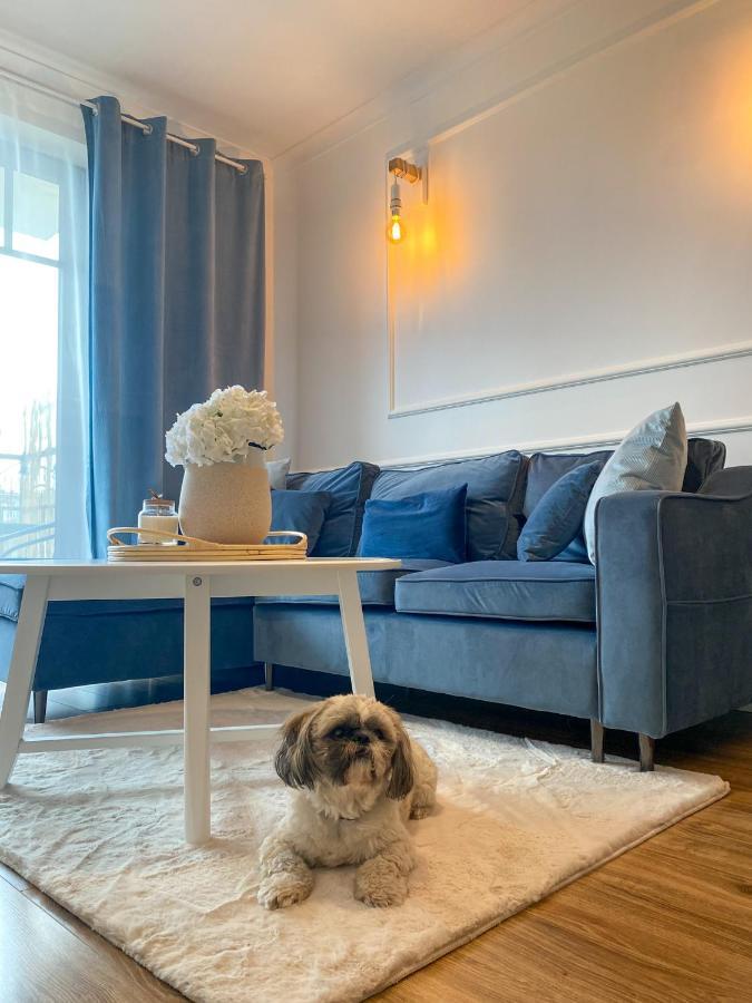 Apartament Akwamaryn سفينويتشي المظهر الخارجي الصورة